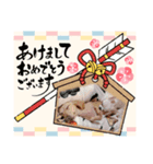 ちぃこの日常Winter（個別スタンプ：8）