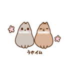 うさちゃんずスタンプ2（個別スタンプ：2）