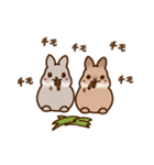 うさちゃんずスタンプ2（個別スタンプ：3）
