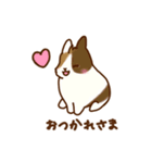 うさちゃんずスタンプ2（個別スタンプ：8）