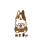 うさちゃんずスタンプ2（個別スタンプ：10）