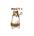 うさちゃんずスタンプ2（個別スタンプ：11）