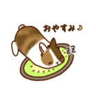 うさちゃんずスタンプ2（個別スタンプ：12）