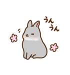 うさちゃんずスタンプ2（個別スタンプ：13）