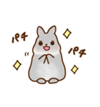 うさちゃんずスタンプ2（個別スタンプ：16）