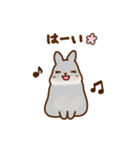 うさちゃんずスタンプ2（個別スタンプ：17）