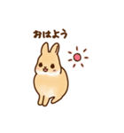 うさちゃんずスタンプ2（個別スタンプ：25）