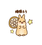 うさちゃんずスタンプ2（個別スタンプ：29）