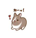 うさちゃんずスタンプ2（個別スタンプ：31）