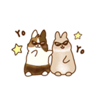 うさちゃんずスタンプ2（個別スタンプ：39）