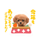 HanaLuna2022（個別スタンプ：12）