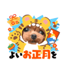 HanaLuna2022（個別スタンプ：13）