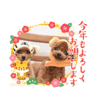 HanaLuna2022（個別スタンプ：21）