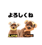 HanaLuna2022（個別スタンプ：24）