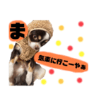 ぼくはチャイ。（個別スタンプ：6）