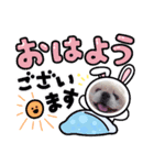 ペキまろ挨拶2（個別スタンプ：6）