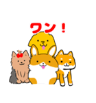 犬好きの人おすすめスタンプ（個別スタンプ：1）