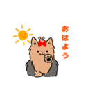 犬好きの人おすすめスタンプ（個別スタンプ：5）