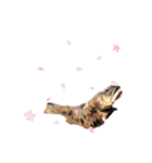 行け！鮎の塩焼き！3（個別スタンプ：24）
