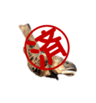 行け！鮎の塩焼き！3（個別スタンプ：30）