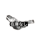 行け！鮎の塩焼き！3（個別スタンプ：36）