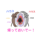 プー特ツセノンセイヘチ（個別スタンプ：13）