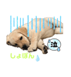 ティアっ子11（個別スタンプ：4）