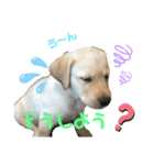 ティアっ子11（個別スタンプ：5）