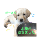 ティアっ子11（個別スタンプ：9）