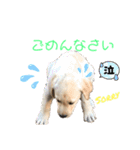 ティアっ子11（個別スタンプ：12）