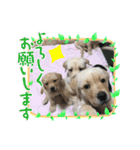 ティアっ子11（個別スタンプ：15）