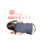 アイリのお願いします（個別スタンプ：1）