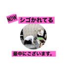 アイリのお願いします（個別スタンプ：5）