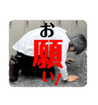 アイリのお願いします（個別スタンプ：16）