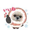 モコモコたん⑤（個別スタンプ：2）