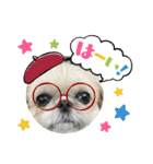 モコモコたん⑤（個別スタンプ：5）