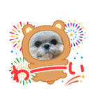 モコモコたん⑤（個別スタンプ：8）