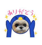 モコモコたん⑤（個別スタンプ：11）