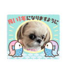 モコモコたん⑤（個別スタンプ：37）