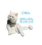 ねこ の ちくわ 3（個別スタンプ：7）