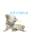 ねこ の ちくわ 3（個別スタンプ：17）