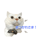 ねこ の ちくわ 3（個別スタンプ：23）