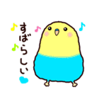 かわいいインコ♡ 毎日使える♪（個別スタンプ：13）