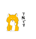 柴犬元気です！（個別スタンプ：2）