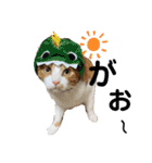 我が家のいぬねこたち（個別スタンプ：8）