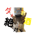 我が家のいぬねこたち（個別スタンプ：11）