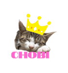 我が家のいぬねこたち（個別スタンプ：36）