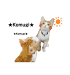 我が家のいぬねこたち（個別スタンプ：38）