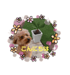 ボーちゃんだよ（個別スタンプ：1）