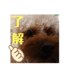 ボーちゃんだよ（個別スタンプ：3）